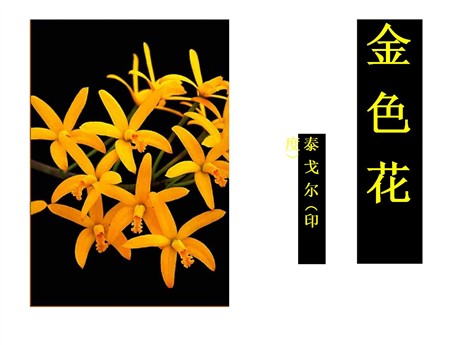 《诗两首-金色花》PPT课件7