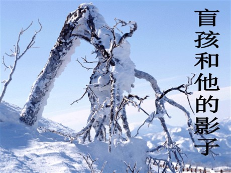 《盲孩子和他的影子》PPT课件7