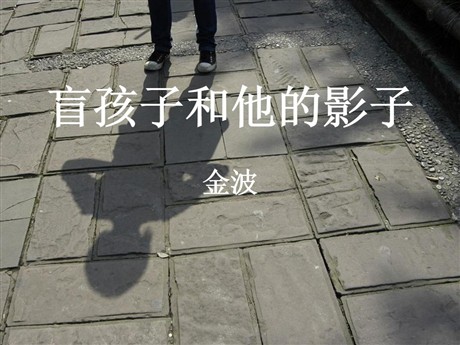 《盲孩子和他的影子》PPT课件8