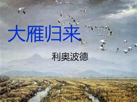 《大雁归来》PPT课件8