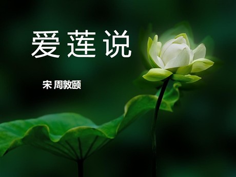 《爱莲说》PPT课件6