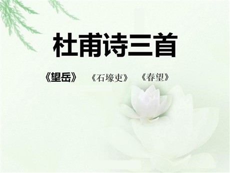 《杜甫诗三首》PPT课件