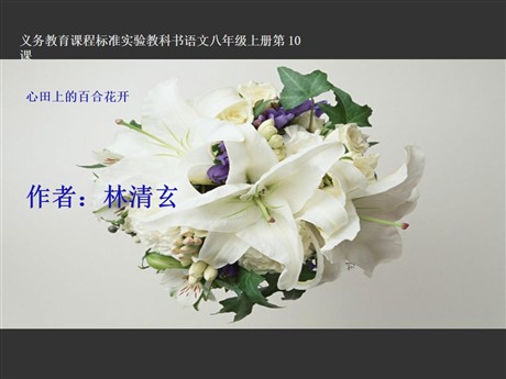 《心田上的百合花》PPT课件5