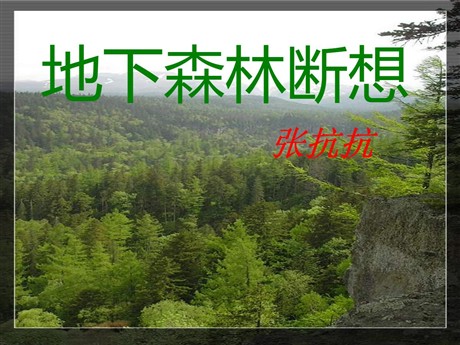 《地下森林断想》PPT课件5