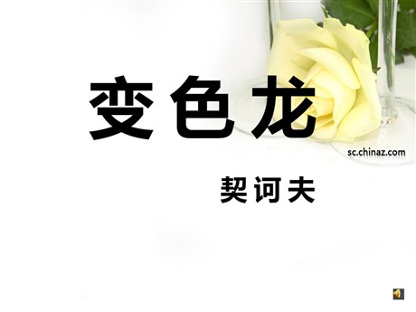 《变色龙》PPT课件6