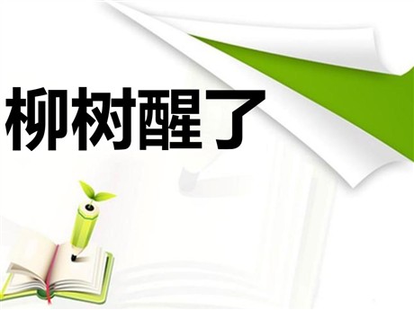 《柳树醒了》PPT课件9