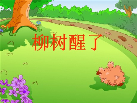 《柳树醒了》PPT课件11