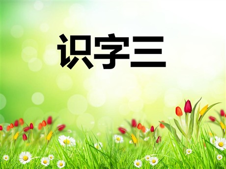 《识字3》PPT课件3