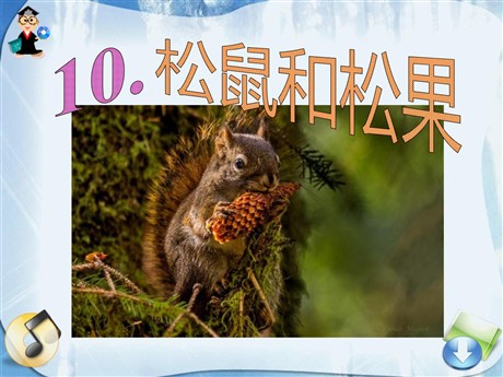 《松鼠和松果》PPT课件7