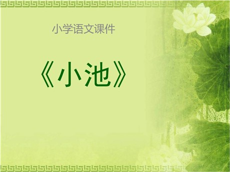 《小池》PPT课件3