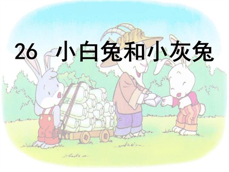 《小白兔和小灰兔》PPT课件6