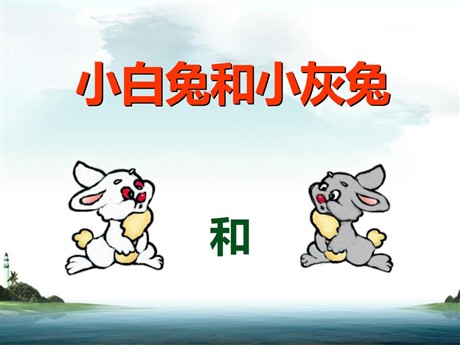 《小白兔和小灰兔》PPT课件8