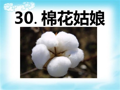 《棉花姑娘》PPT课件9