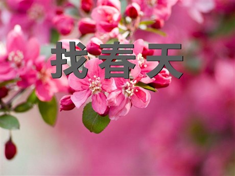 《找春天》PPT课件6