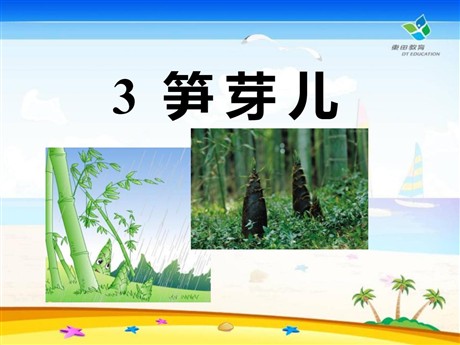 《笋芽儿》PPT课件8