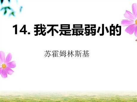 《我不是最弱小的》PPT课件8