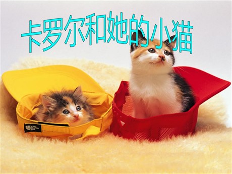 《卡罗尔和她的小猫》PPT课件6