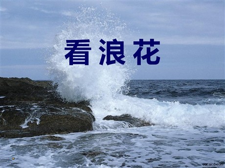 《看浪花》PPT课件4
