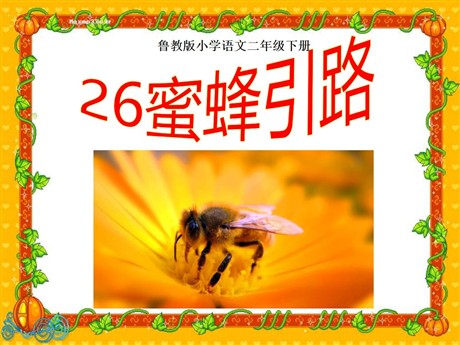 《蜜蜂引路》PPT课件7