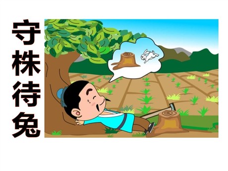 《守株待兔》PPT课件7