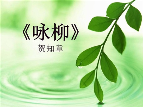 《咏柳》PPT课件6