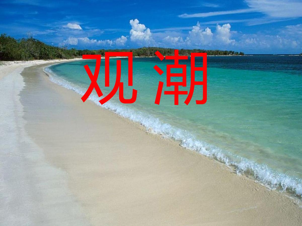 《观潮》PPT课件6