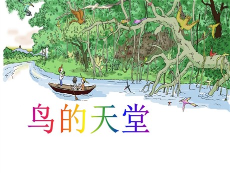 《鸟的天堂》PPT课件3