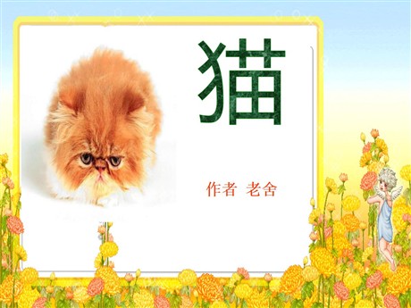 《猫》PPT课件3
