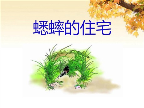 《蟋蟀的住宅》PPT课件7