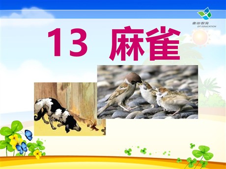 《麻雀》PPT课件3