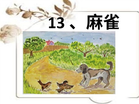 《麻雀》PPT课件4