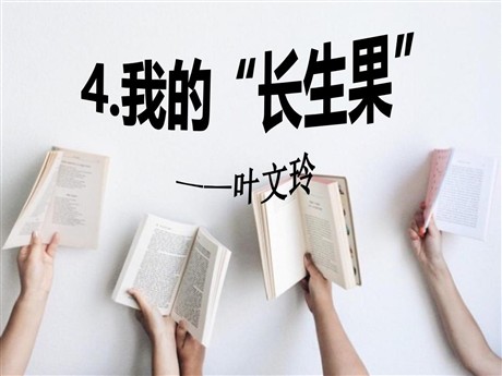 《我的“长生果”》PPT课件9