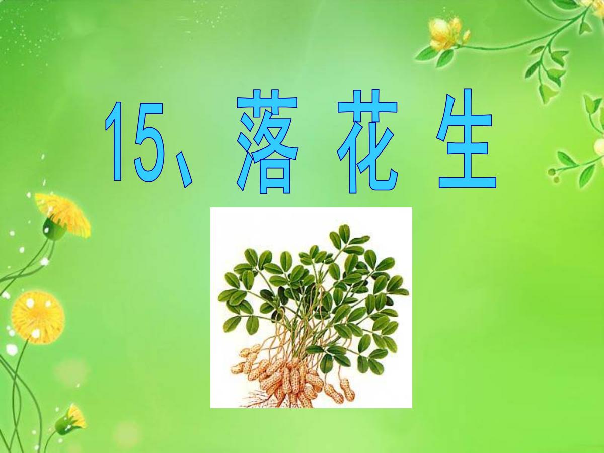 《落花生》PPT课件8