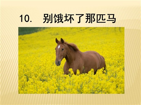 《别饿坏了那匹马》PPT课件3