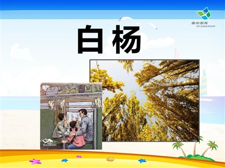 《白杨》PPT课件8