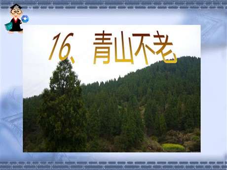 《青山不老》PPT课件7