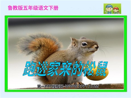 《跑进家来的松鼠》PPT课件3