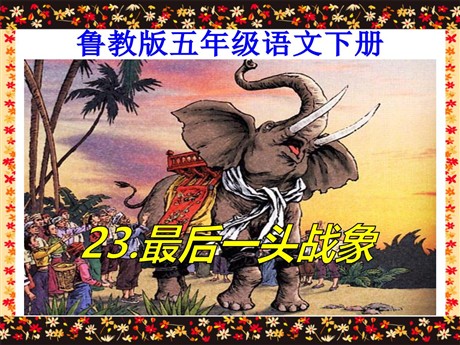 《最后一头战象》PPT课件4