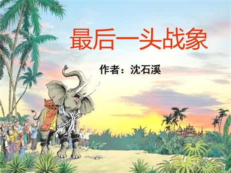 《最后一头战象》PPT课件6