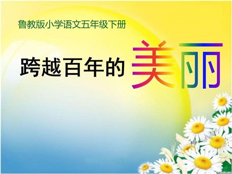 《跨越百年的美丽》PPT课件8