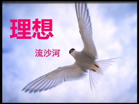 《理想》PPT课件3