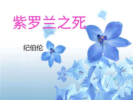 《紫罗兰之死》PPT课件