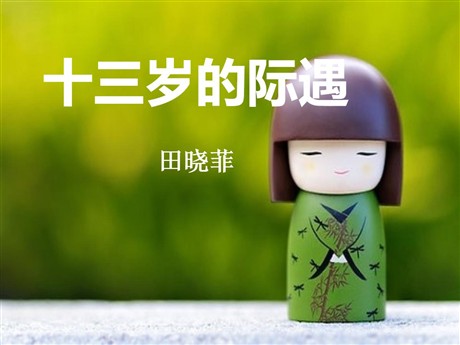 《十三岁的际遇》PPT课件4