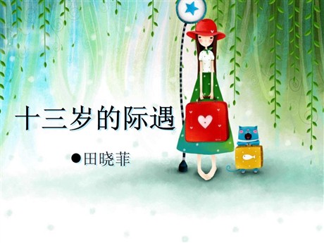 《十三岁的际遇》PPT课件5