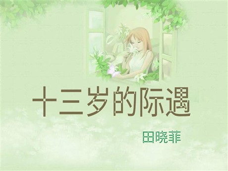《十三岁的际遇》PPT课件6