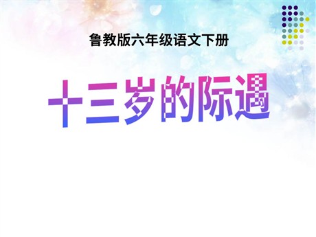 《十三岁的际遇》PPT课件7