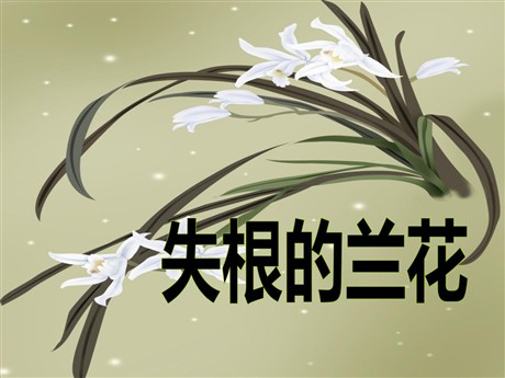 《失根的兰花》PPT课件4