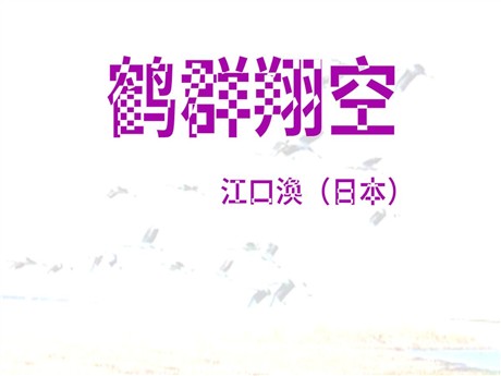 《鹤群翔空》PPT课件