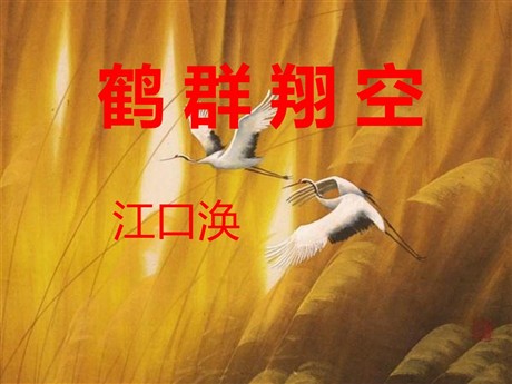 《鹤群翔空》PPT课件2
