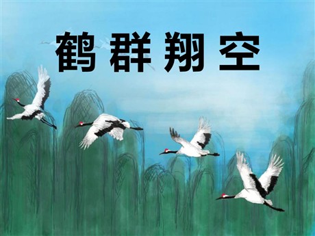 《鹤群翔空》PPT课件3